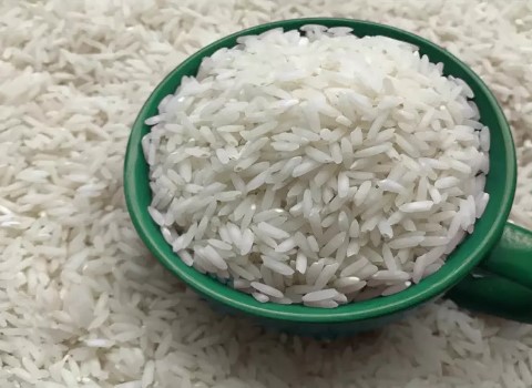 https://shp.aradbranding.com/قیمت برنج طارم بروجرد + خرید باور نکردنی
